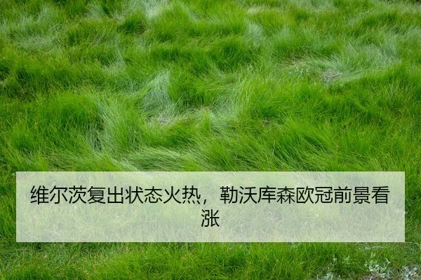 wei-er-ci-fu-chu-zhuang-tai-huo-re-lei-wo-ku-sen-ou-guan-qian-jing-kan-zhang-3-880.jpg
