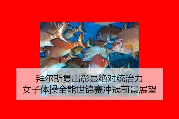 拜尔斯复出彰显绝对统治力 女子体操全能世锦赛冲冠前景展望