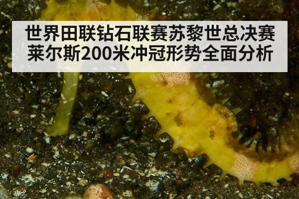 世界田联钻石联赛苏黎世总决赛莱尔斯200米冲冠形势全面分析